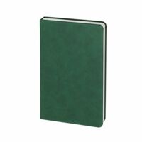Ежедневник Daily Mini, недатированный, зеленый