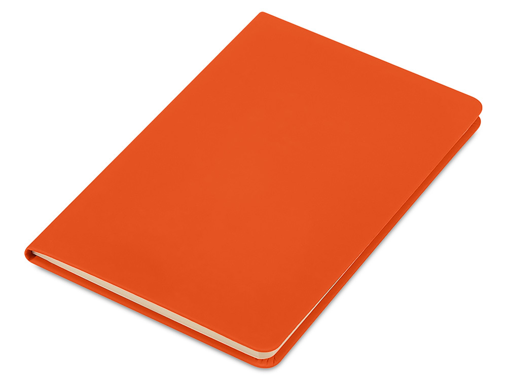 Блокнот в твердой обложке A5 «Виспи 2.0» в клетку, оранжевый