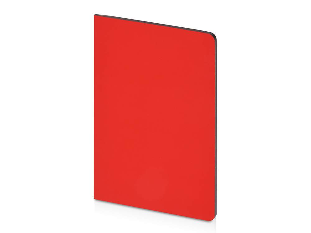 Бизнес-тетрадь А5 &quot;Pragmatic Contrast&quot;, 40 листов в клетку, красный с темно-серым срезом