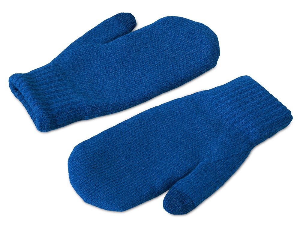 Варежки «Dunant», классический синий