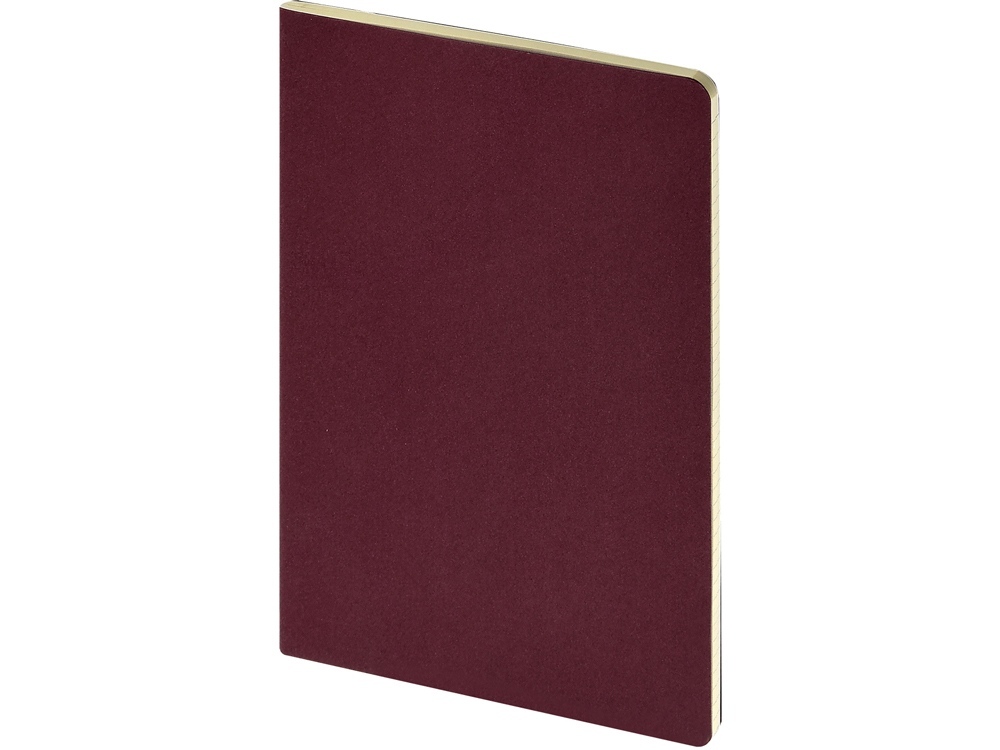 Бизнес-тетрадь А4 &quot;Pragmatic&quot;,  40л., клетка, бордовый